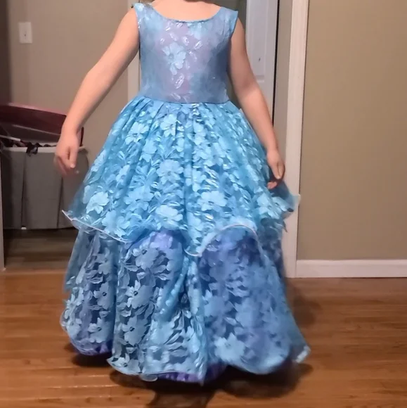 Pageant gown dress